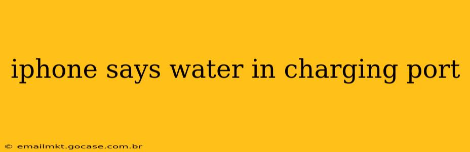 iphone says water in charging port