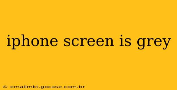 iphone screen is grey