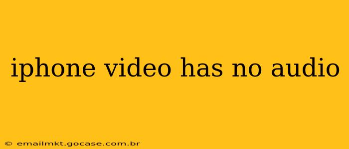 iphone video has no audio