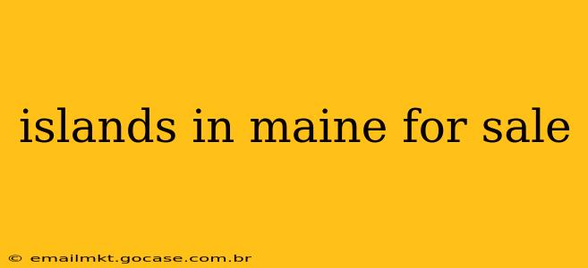 islands in maine for sale