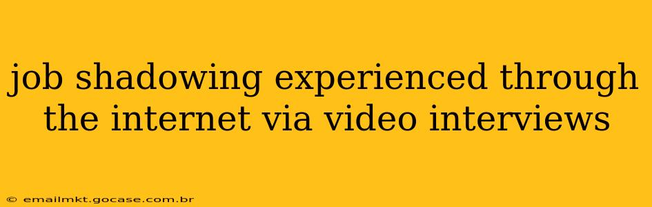 job shadowing experienced through the internet via video interviews
