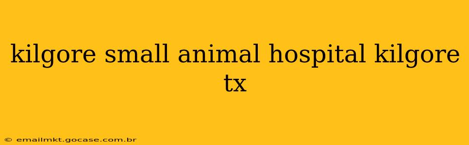 kilgore small animal hospital kilgore tx