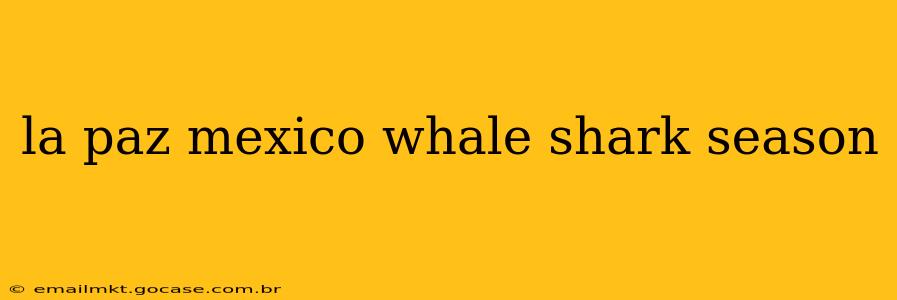la paz mexico whale shark season