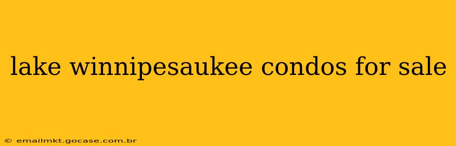 lake winnipesaukee condos for sale