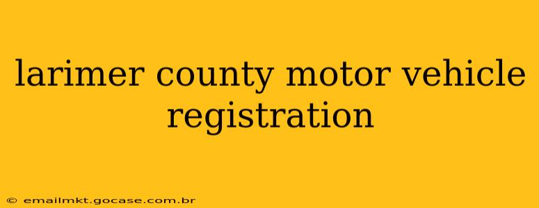 larimer county motor vehicle registration