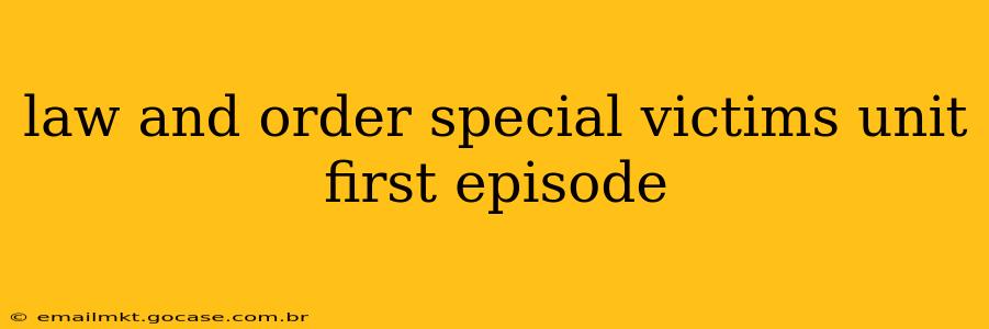 law and order special victims unit first episode