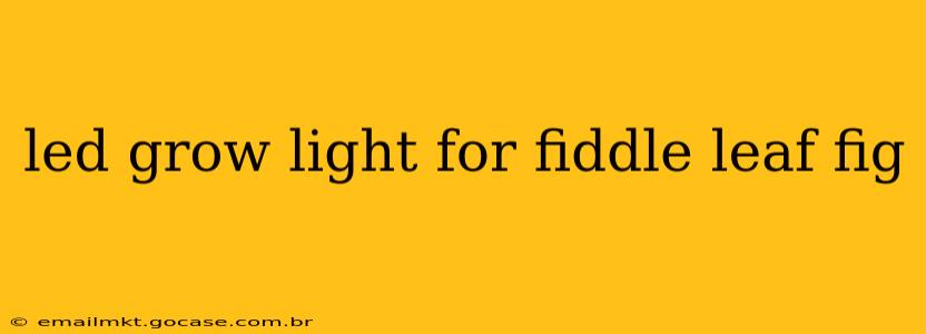 led grow light for fiddle leaf fig