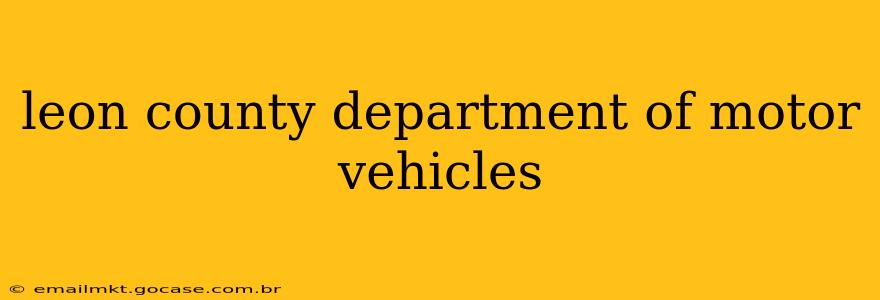 leon county department of motor vehicles