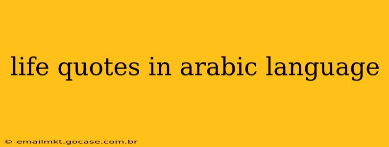 life quotes in arabic language