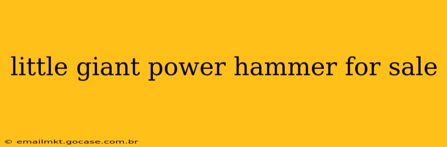 little giant power hammer for sale