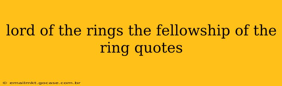 lord of the rings the fellowship of the ring quotes