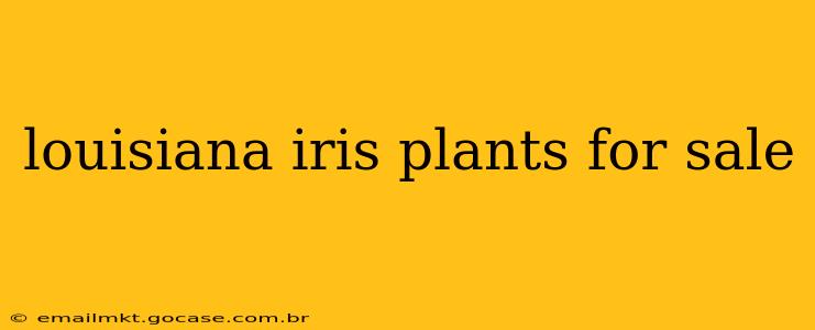louisiana iris plants for sale