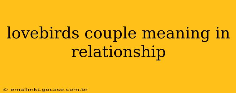 lovebirds couple meaning in relationship