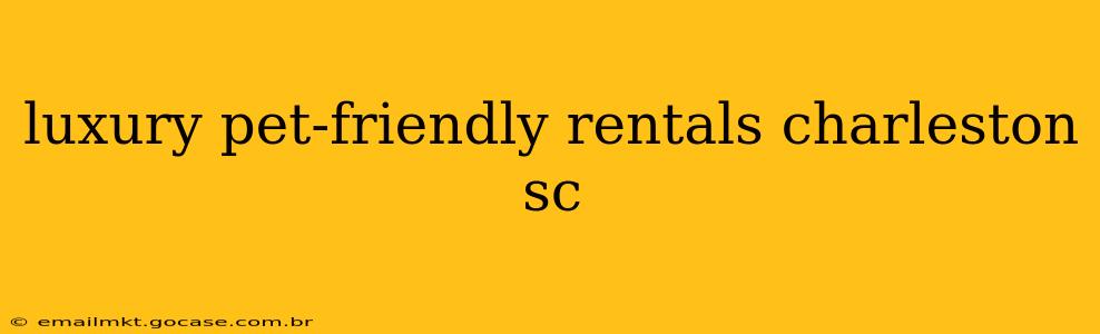 luxury pet-friendly rentals charleston sc