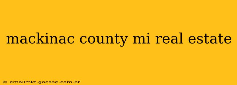 mackinac county mi real estate
