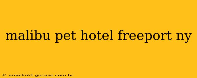 malibu pet hotel freeport ny