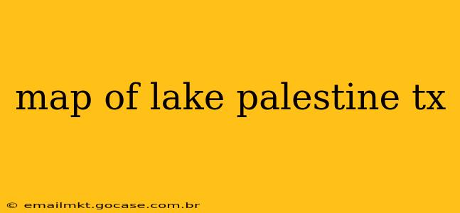 map of lake palestine tx
