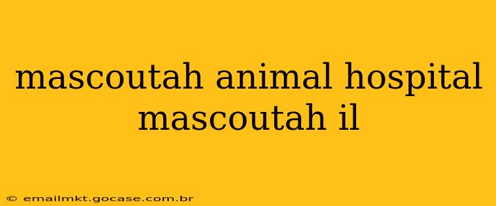 mascoutah animal hospital mascoutah il