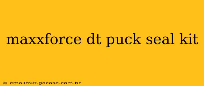 maxxforce dt puck seal kit