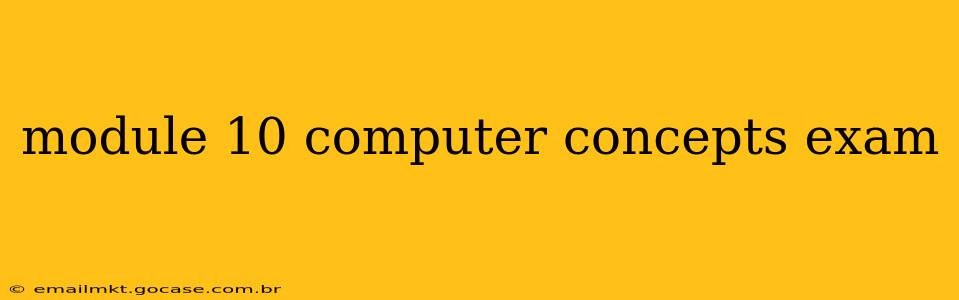 module 10 computer concepts exam