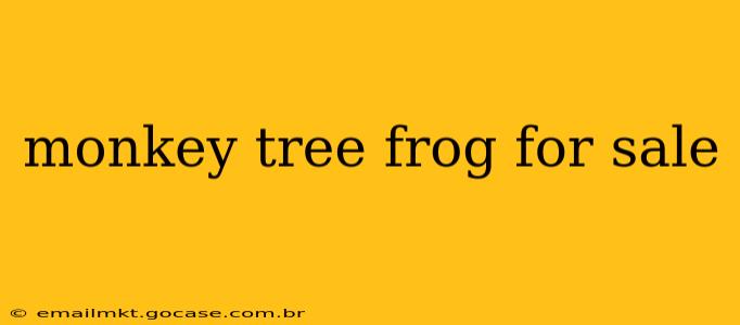 monkey tree frog for sale