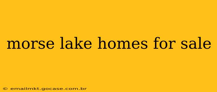 morse lake homes for sale