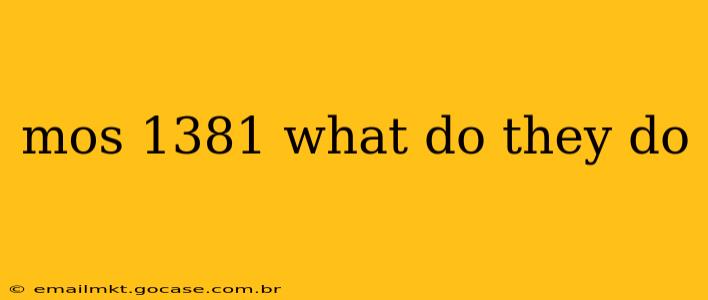 mos 1381 what do they do