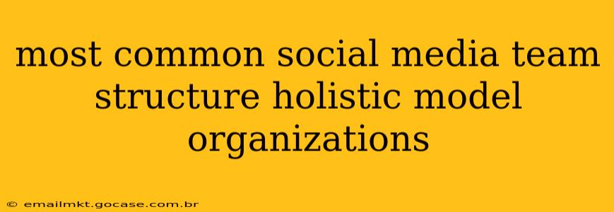 most common social media team structure holistic model organizations