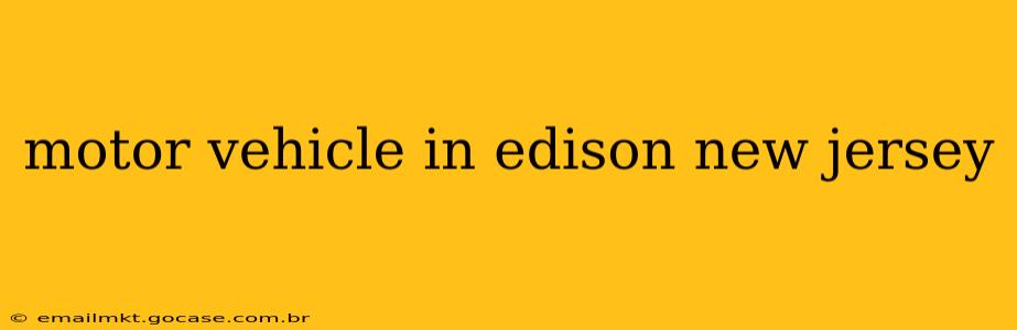 motor vehicle in edison new jersey