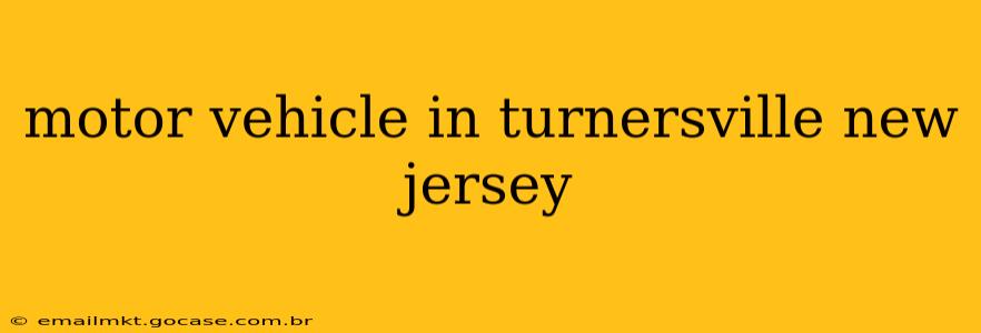 motor vehicle in turnersville new jersey
