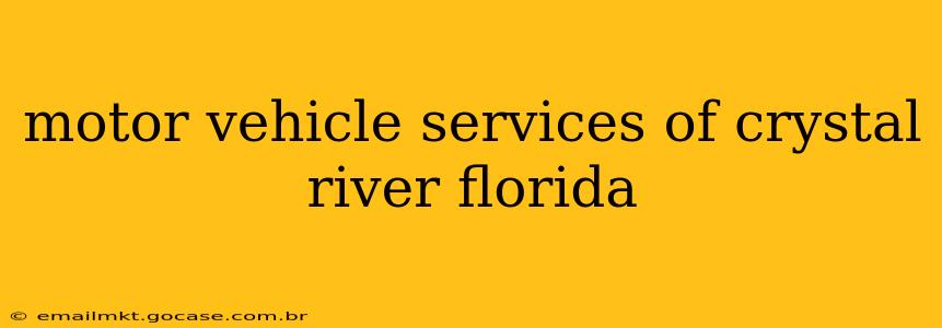 motor vehicle services of crystal river florida