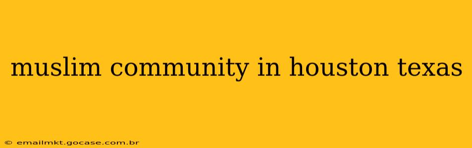 muslim community in houston texas