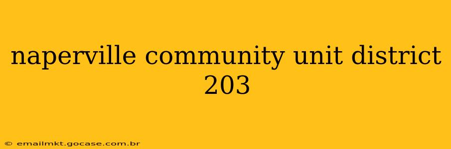 naperville community unit district 203