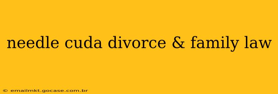 needle cuda divorce & family law