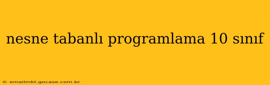 nesne tabanlı programlama 10 sınıf