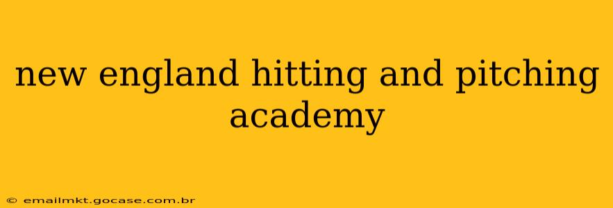 new england hitting and pitching academy