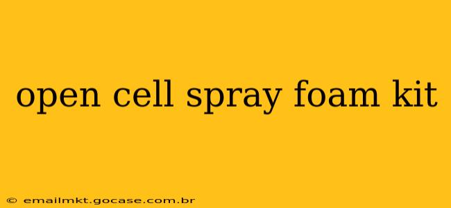 open cell spray foam kit