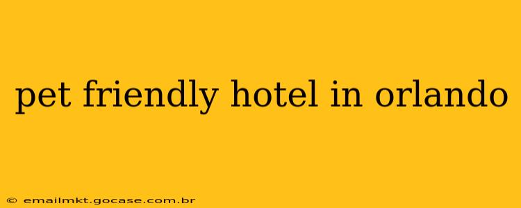 pet friendly hotel in orlando