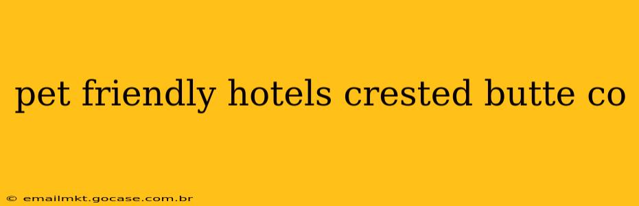 pet friendly hotels crested butte co