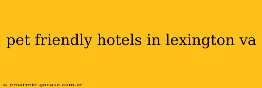 pet friendly hotels in lexington va