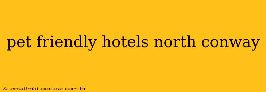 pet friendly hotels north conway