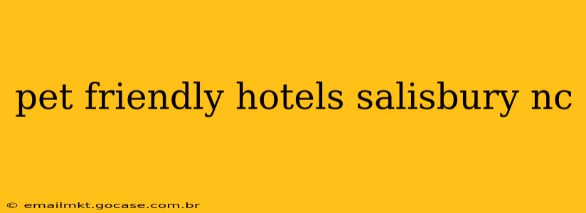 pet friendly hotels salisbury nc