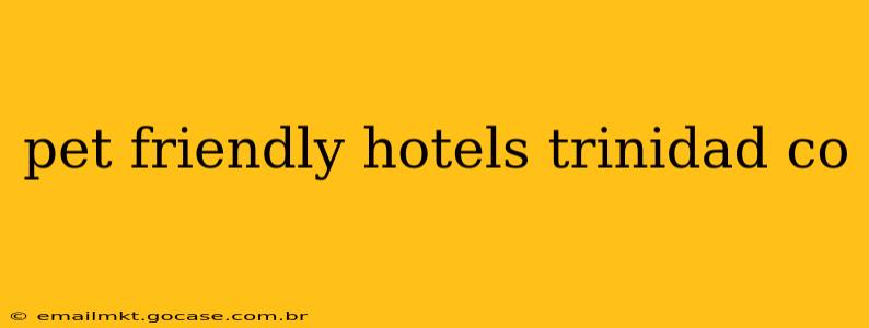 pet friendly hotels trinidad co