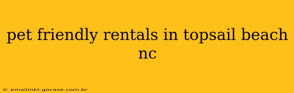 pet friendly rentals in topsail beach nc