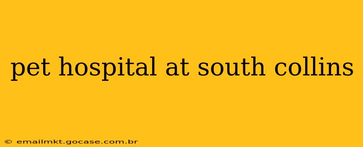 pet hospital at south collins