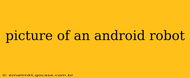 picture of an android robot