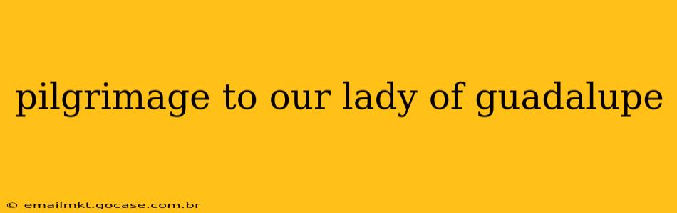 pilgrimage to our lady of guadalupe