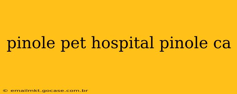 pinole pet hospital pinole ca