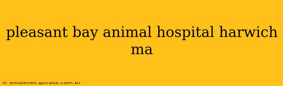 pleasant bay animal hospital harwich ma