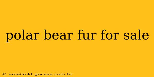 polar bear fur for sale